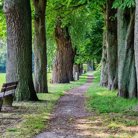 Hafenliebe, Vilmblick Mit Meerblick