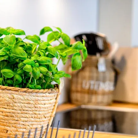 Hafenliebe, Vilmblick Mit Meerblick